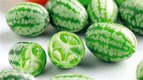 現代人需要療癒　屁屁石頭、拇指西瓜超熱賣（露天拍賣提供）