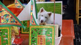 屏東玉皇宮與立委鍾佳濱合辦「寵物普渡」，獲得許多飼主好評。圖/取自鍾佳濱 臉書