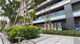 新秀,鋼琴師,台灣,李斯特愛之夢降Ａ大調第3號,直播,臉書,墜樓