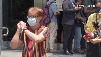 陳佩琪涉人頭公司遭約談　檢舉人也現身