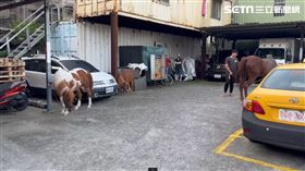 板橋知名馬場凌晨火警。（圖／翻攝畫面）