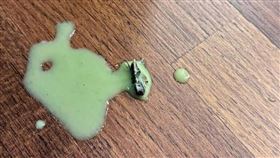 連鎖咖啡廳,星巴克,蒼蠅,中清店,台中,芝麻抹茶那堤（圖／翻攝黑色豪門企業）