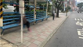 新北,板橋,等公車,掏鳥,DIY,