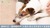 寵物臨終前7大徵兆　飼主及時道別不遺憾
