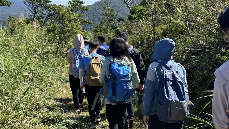 新／辦登山活動蜂襲1人亡　鍾佳濱說話了
