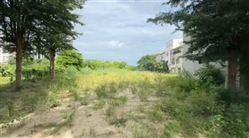 柯文哲,農地,芭樂,雜草（圖／翻攝畫面）