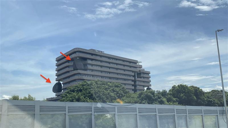 竹市建物驚見4顆超巨「蜂巢」內行解答了