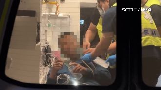 登山團遇蜂襲　領隊捨己「要團員快跑」