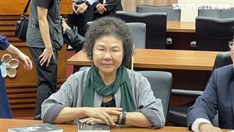 陳菊病倒7個月　最新病況曝光