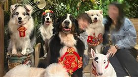 「食。光機」為一間人氣寵物友善餐廳