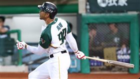 ▲魔鷹（Steven Moya）單場敲出3支安打。（圖／台鋼雄鷹提供）