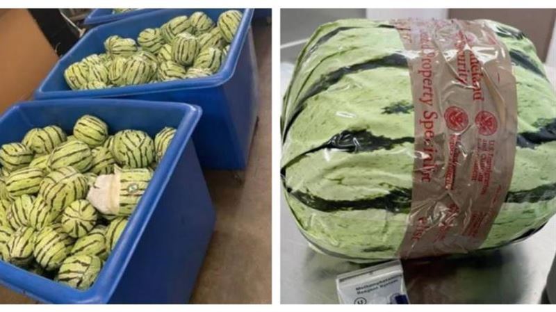 「毒西瓜」入境南加！喬裝太糟被查獲