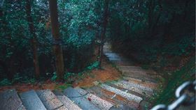 ▲深山叢林人煙稀少也容易聚集好兄弟。（示意圖／Pixabay）