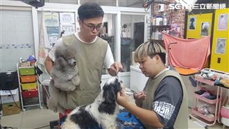 獨／愛犬被侵占　美容店主嘆信任在哪