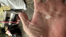 台中午後大雨 太平區現冰雹（1）台中地區24日午後降下大雨，中央氣象署並發出大雷雨災防告警，其中在太平地區還出現冰雹，有民眾將冰雹拿在手中拍照。（里長張雅芳提供）中央社記者蘇木春傳真 113年8月24日