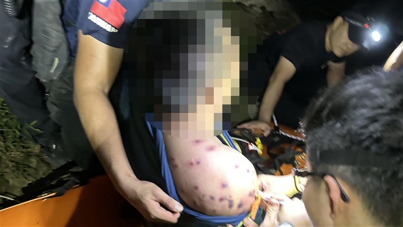 遇虎頭蜂怎麼辦？專家曝唯一解：做這兩事