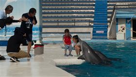 海陸域保育類動物表演將落幕  台灣動保揭新頁農業部7月底公告新版「動物展演管理辦法」，海陸域保育類動物表演將落幕。動保團體認為全球13國已無鯨豚秀，國內2家有鯨豚秀的業者應跟進。（台灣動物平權促進會提供）中央社記者楊淑閔傳真  113年8月25日