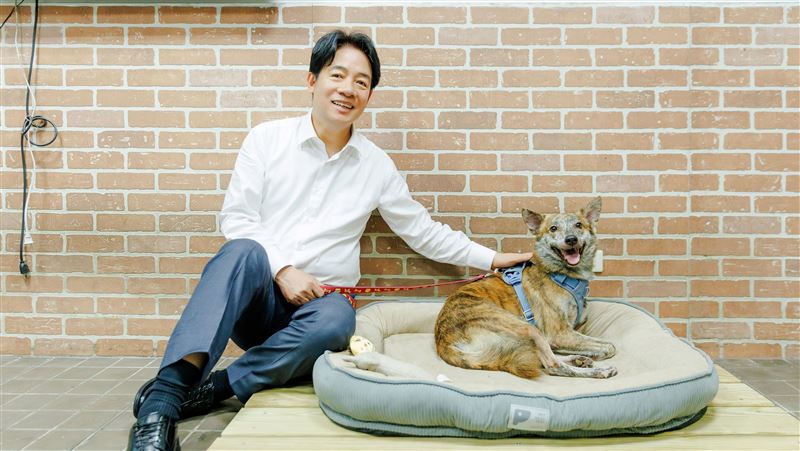 總統賴清德2024年認養的斷肢毛小孩斑斑。（圖／總統府提供）