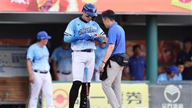 ▲富邦悍將張育成全力揮棒後傷退。（圖／富邦悍將提供）