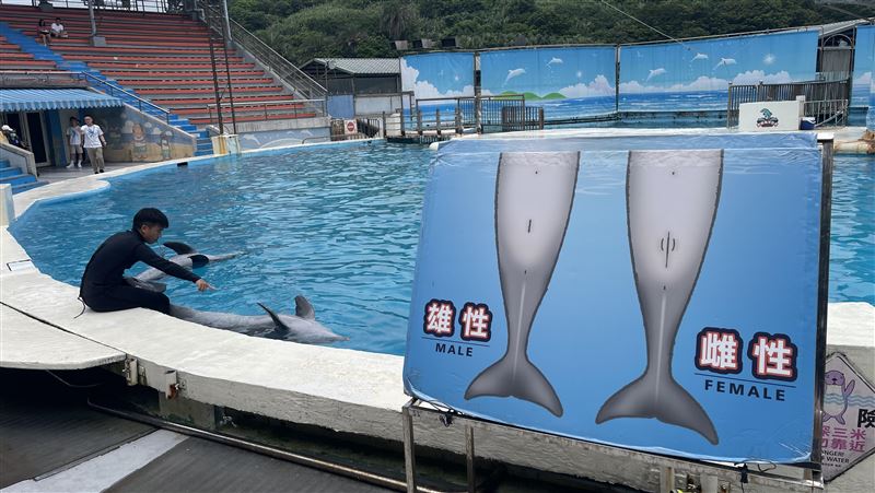 鯨豚娛樂表演將退場　2業者輔導轉型