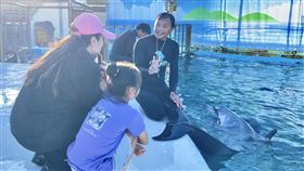 野柳海洋世界海豚秀轉型動態展示（1）因應動保趨勢，野柳海洋世界海豚秀轉型為教育性質的動態展示，讓民眾更能了解海豚相關知識。（野柳海洋世界提供）中央社記者王鴻國傳真  113年8月25日