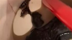 鶴茶樓 爆料公社