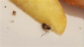 斗六,飯店,4星級,早餐自助吧,炸物,蟑螂（圖／翻攝google）