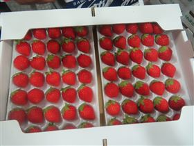 由「慕果生鮮水菓行」自日本輸入的「鮮草莓」，被檢出3種殘留農藥。（圖／食藥署提供）