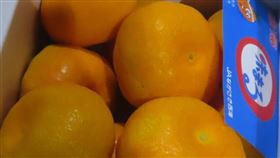 由「上佳水果有限公司」自日本輸入的「鮮蜜柑」，被檢出殘留農藥賽安勃。（圖／食藥署提供）