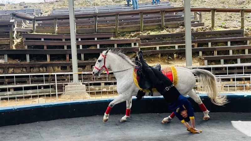還看得到馬術秀、綿羊秀？清境農場給答案