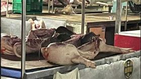 ▲老鼠趁市場還沒營業前，大啃豬肉攤上的豬。（圖／翻攝自爆料公社臉書）