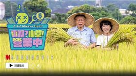 《爽吧？小草！營業中》（圖／翻攝自林智群律師（klaw）臉書）