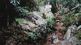 南投縣信義鄉水社大山的水晶礦山，二氧化矽成分逾99％，開採價值極高。（受訪者提供）