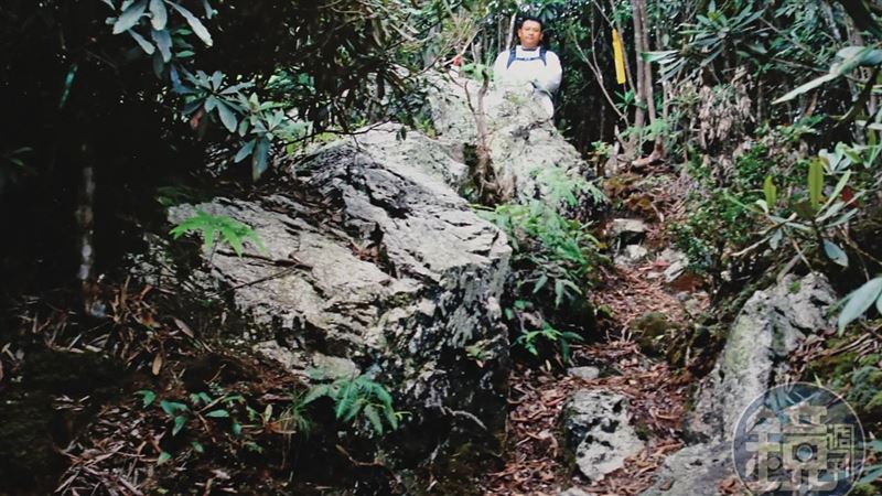 南投深山竟藏「千億矽礦」　地點曝光！