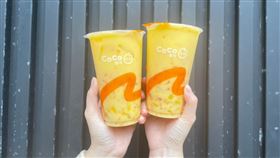 coco,胖胖楊枝甘露(CoCo都可 提供)