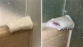 有網友無奈發文指出自己入義大皇家酒店時驚見一捲滲血衛生棉。（圖／翻攝匿名公社畫面）