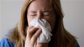 打噴嚏，(圖／Pixabay)