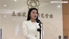 國民黨立委林思銘、張嘉郡。(圖/記者高逸帆攝影)