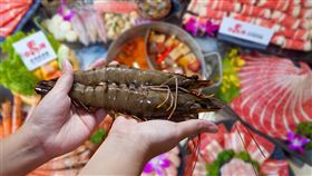 （圖／業者提供）
