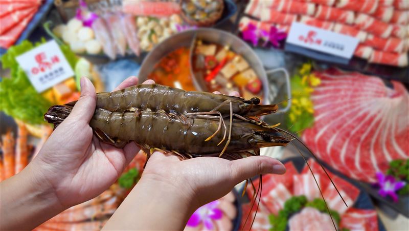 麻辣鍋狂撒招待券　9月壽星手臂蝦免費吃