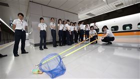 （圖／業者提供）
