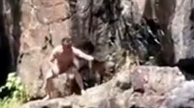 打算跳水的泳客遭猴子襲擊。（圖／翻攝自微博）