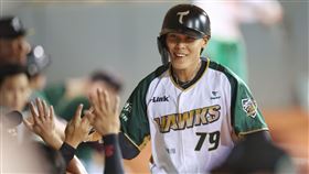 ▲陳飛霖個人單場敲出4支安打。（圖／台鋼雄鷹提供）