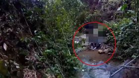  信義鄉70多歲老農，巡田水，跌落溪底，偏僻，受困4天喝溪水奇蹟救回一命(圖／翻攝畫面)