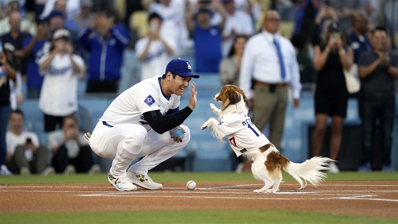球迷排7小時領公仔　大谷攜愛犬溫馨開球