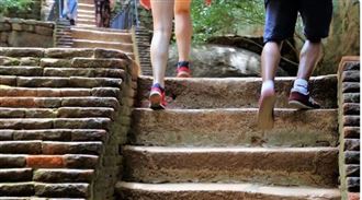 不只蛋白質!專家曝「1類食物」可防肌少症