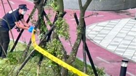 新北,鶯歌,尖山路,社區,中庭,墜落,