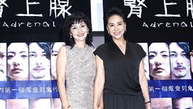 田麗、南果步《腎上腺》開鏡記者會。（圖／記者趙于瑩攝影）