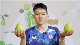 高承睿「卡詞」力挺文旦柚，網友大讚太可愛。（圖／翻攝自鮮享農YA - 農糧署粉專）