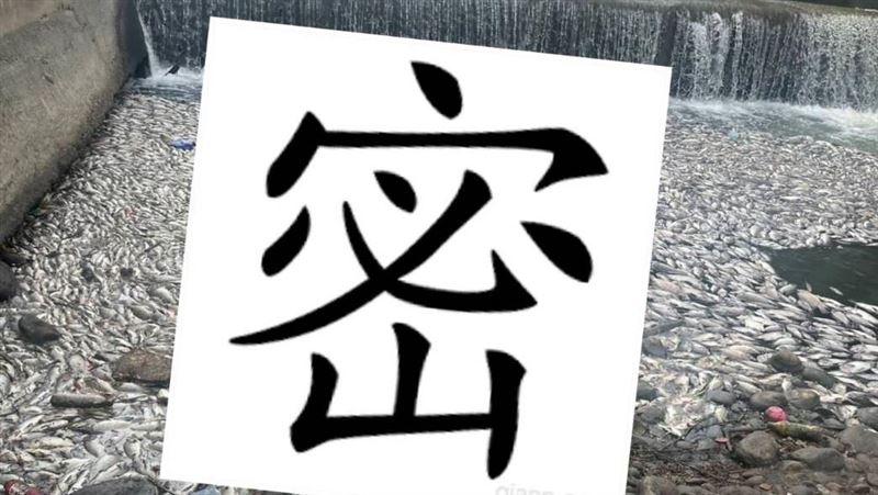40噸「死魚屍體」塞住希臘港口！原因曝光